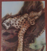 Malovanie, kresba, airbrush – fotka 4